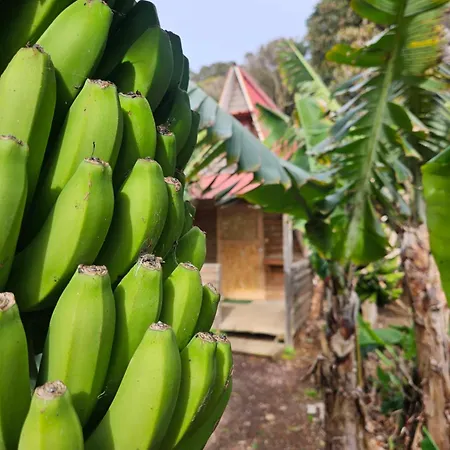 Banana Eco Camp Hotel Angra do Heroísmo Exterior photo