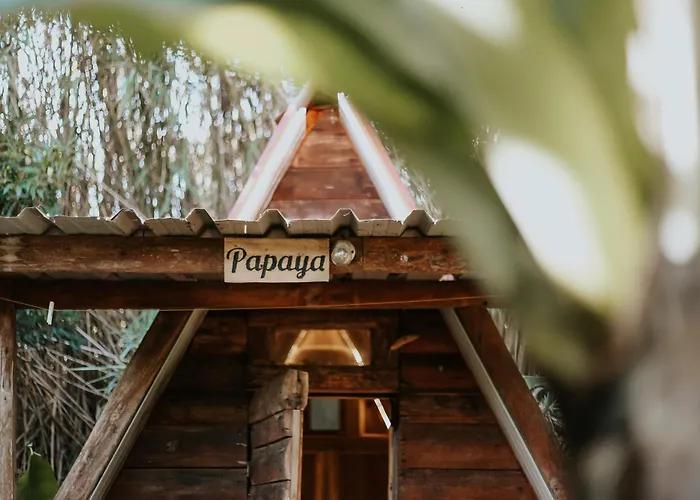 Banana Eco Camp