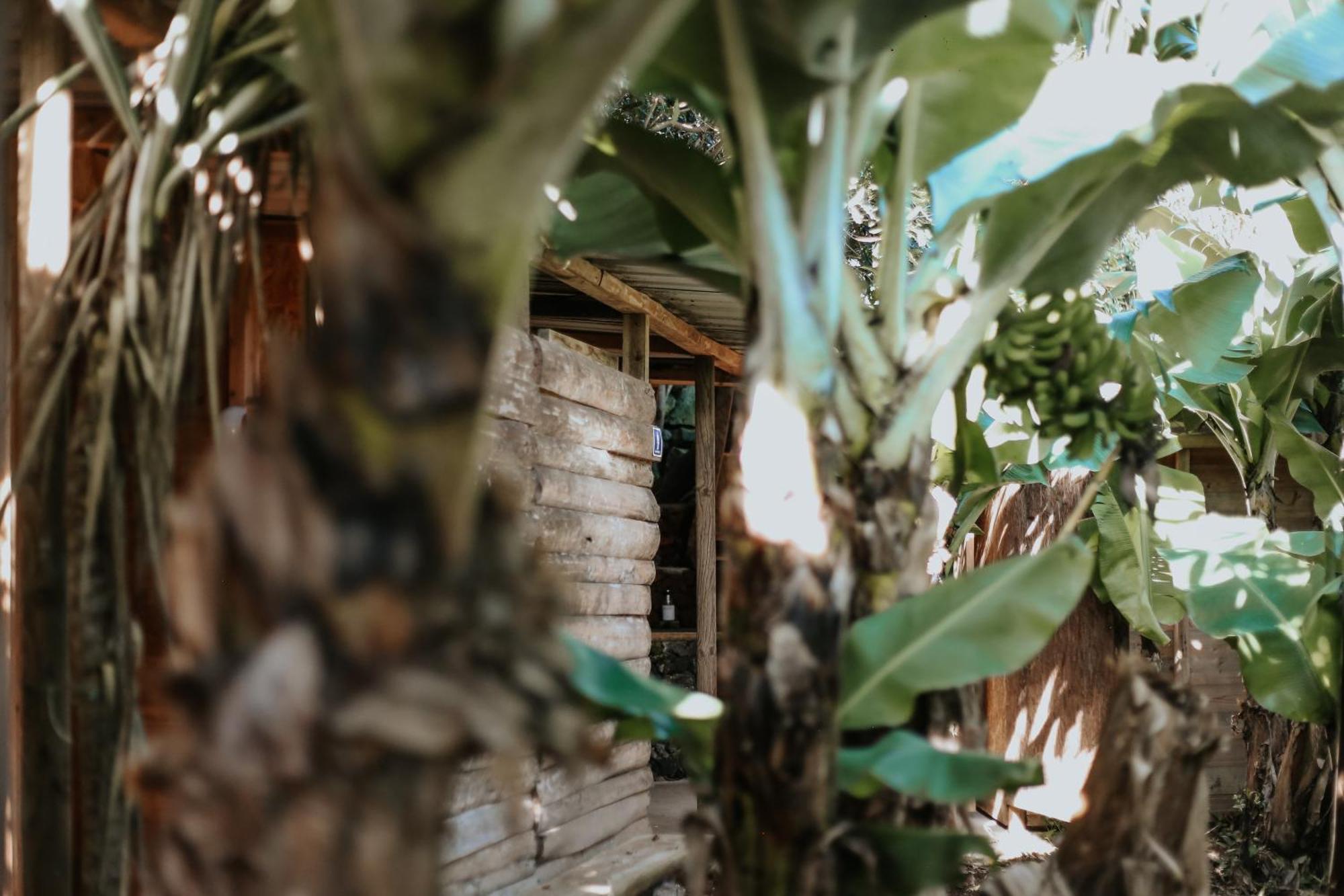 Banana Eco Camp Camping